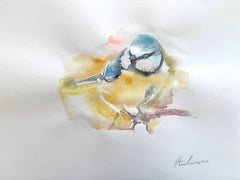 Mésange charbonnière Aquarelle sur papier Peinture faite à la main, unique en son genre