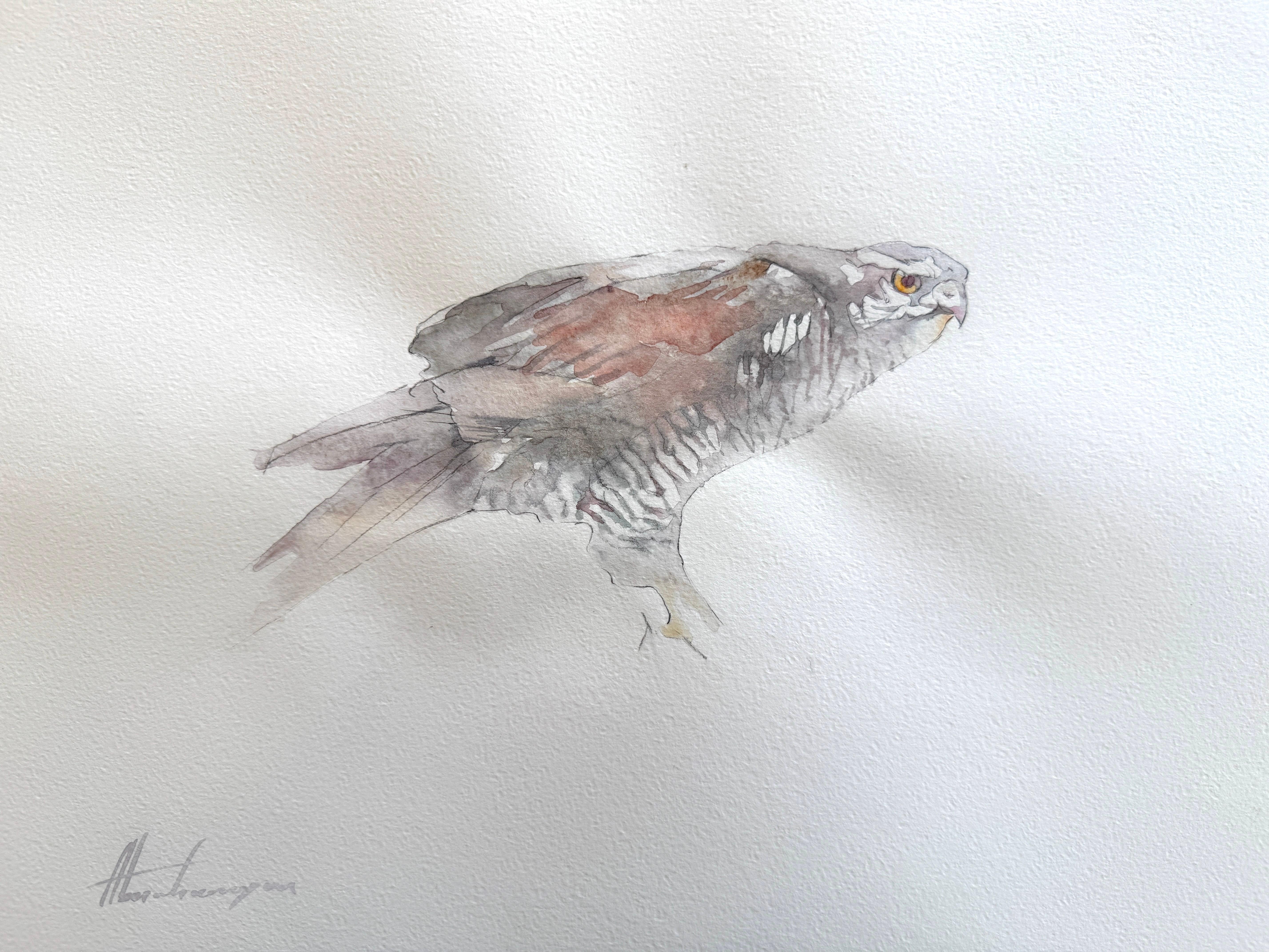 Hawk Bird Watercolor on Paper Handmade Painting, One of a Kind