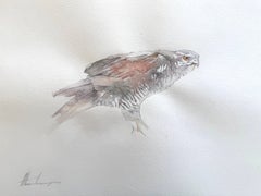 Oiseau faucon Aquarelle sur papier Peinture faite à la main, unique en son genre