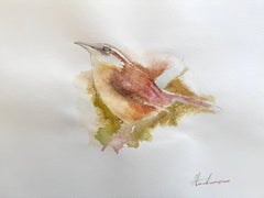 Wren Bird Watercolor on Paper Handmade Painting, One of a Kind