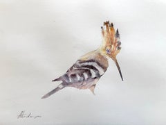 Hoppoe bird Watercolor on Paper Handmade Painting, One of a Kind