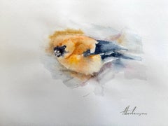 Aquarelle sur papier d'un oiseau cardinal du Nord, une peinture faite à la main, unique en son genre