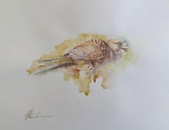 Oiseau faucon Aquarelle sur papier Peinture faite à la main, unique en son genre