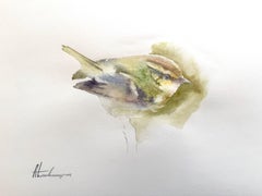 Wren Bird Watercolor on Paper Handmade Painting, One of a Kind