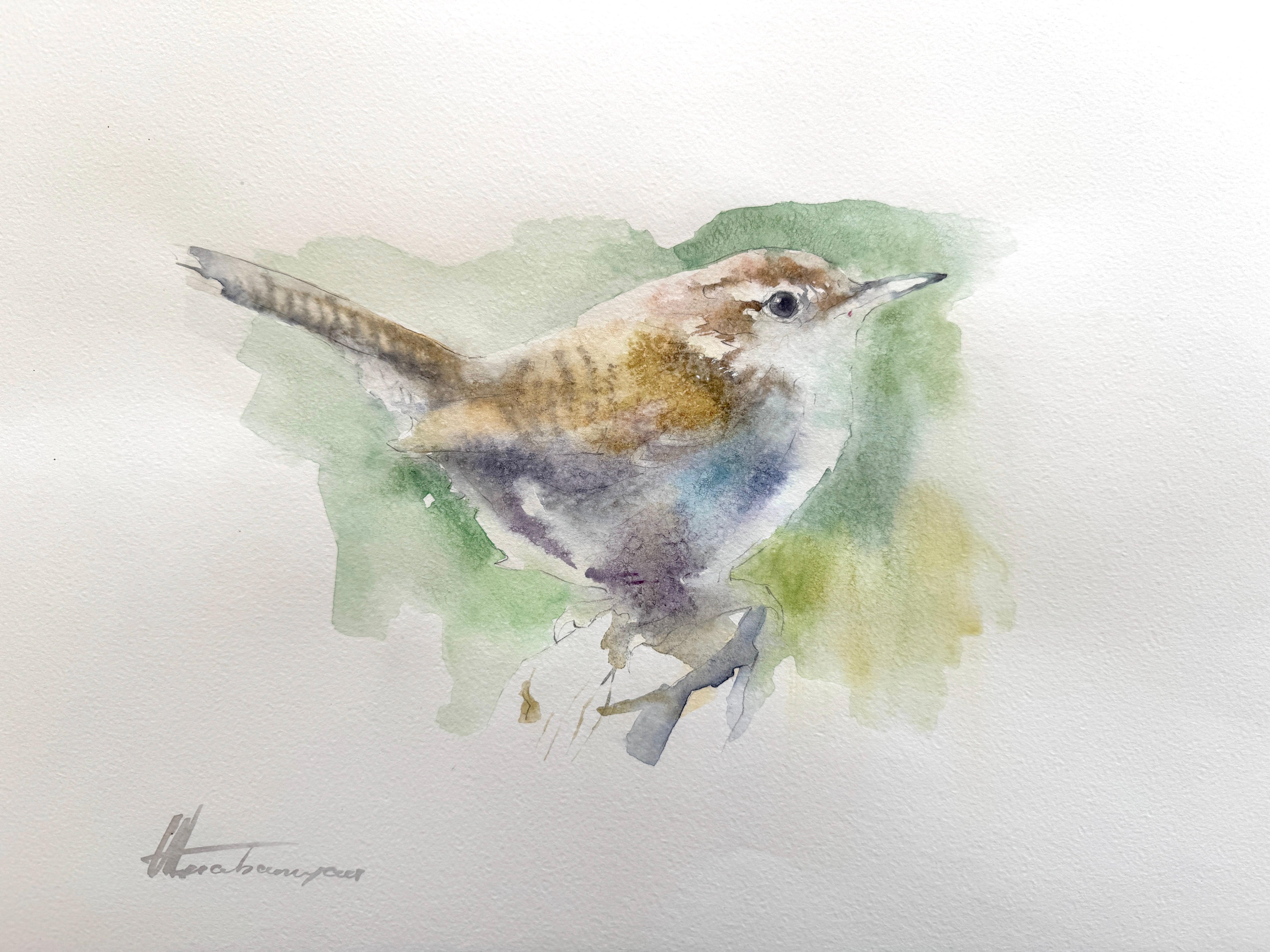Airplane Animal Drawings and Watercolors