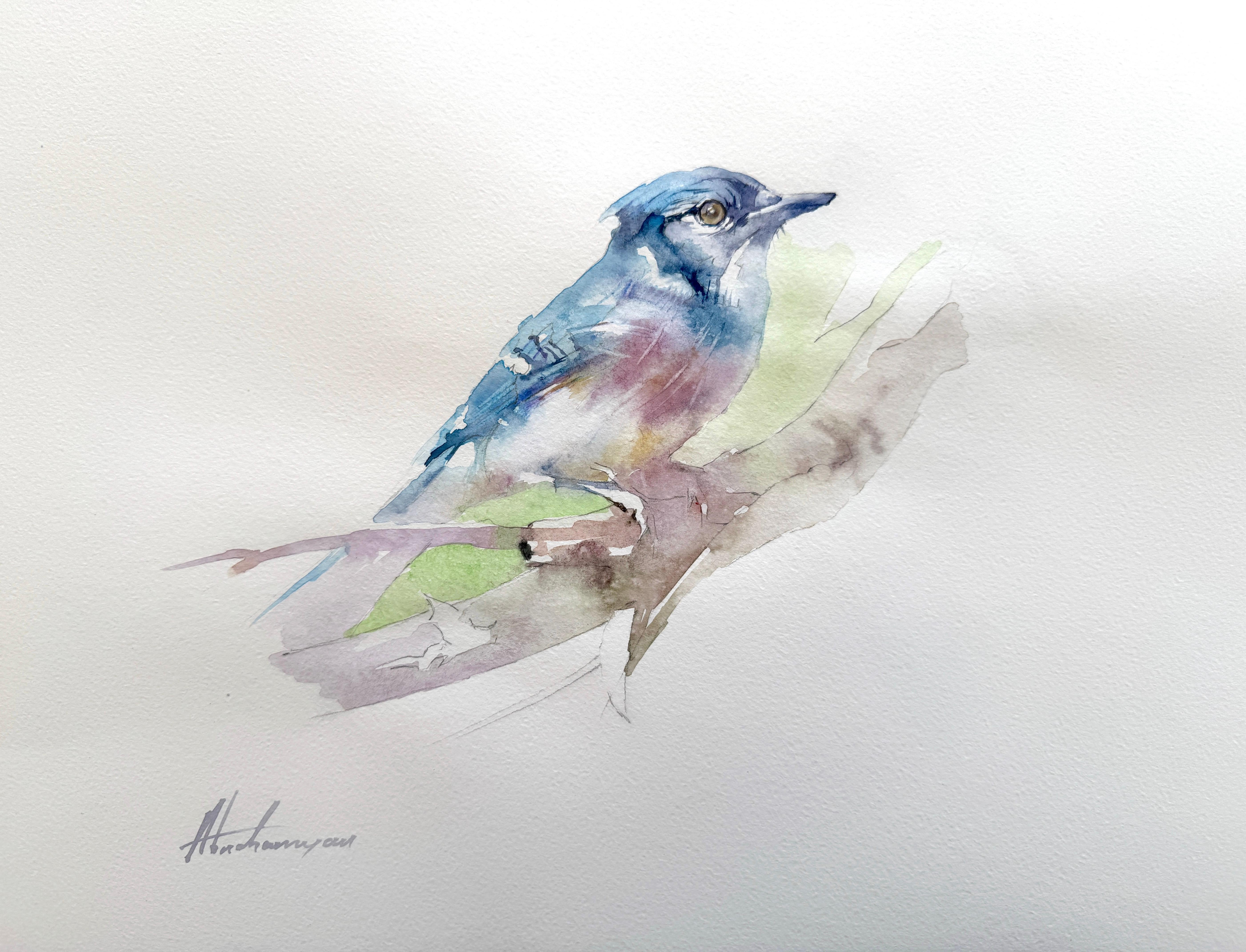 Blaues Jay-Vogel-Aquarell auf Papier, handgefertigtes Gemälde, einzigartig