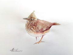 Cuckoo Bird Watercolor on Paper Handmade Painting, One of a Kind