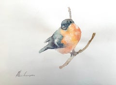Bouvreuil Oiseau Aquarelle sur papier Peinture faite à la main, unique en son genre