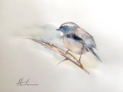 Fairies Wren Bird Aquarelle sur papier Peinture faite à la main, unique en son genre