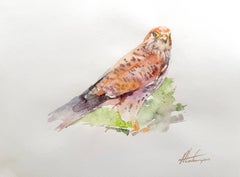 Oiseau crécerelle Aquarelle sur papier Peinture faite à la main, unique en son genre