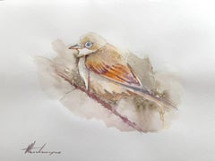 Oiseau Animal Aquarelle sur papier Peinture faite à la main, Unique en son genre