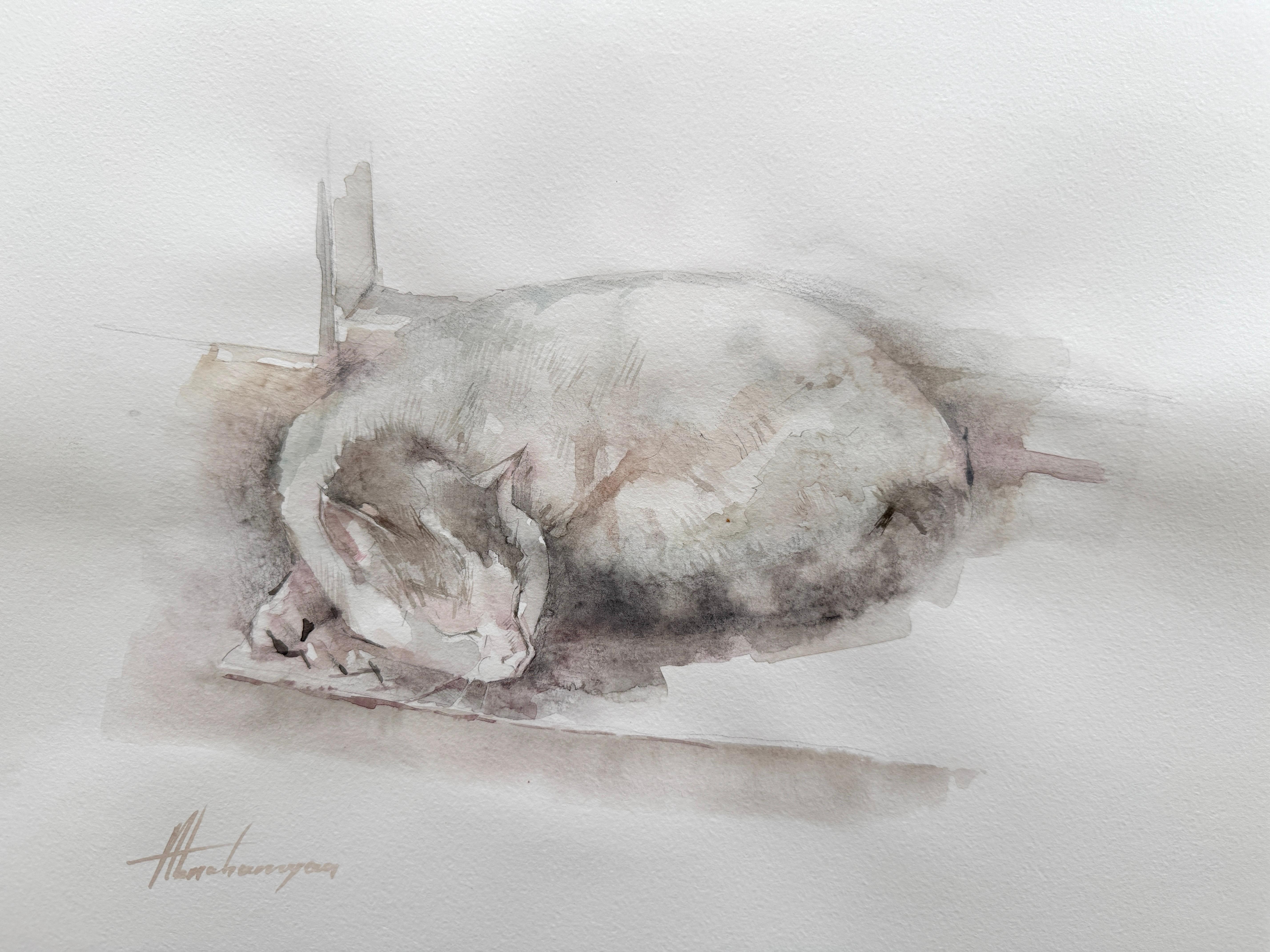 Schlafende Katze Tier Aquarell auf Papier Handgemachte Malerei, One of a Kind