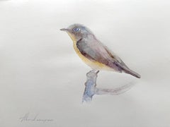 Roller Bird Watercolor on Paper Handmade Painting, One of a Kind
