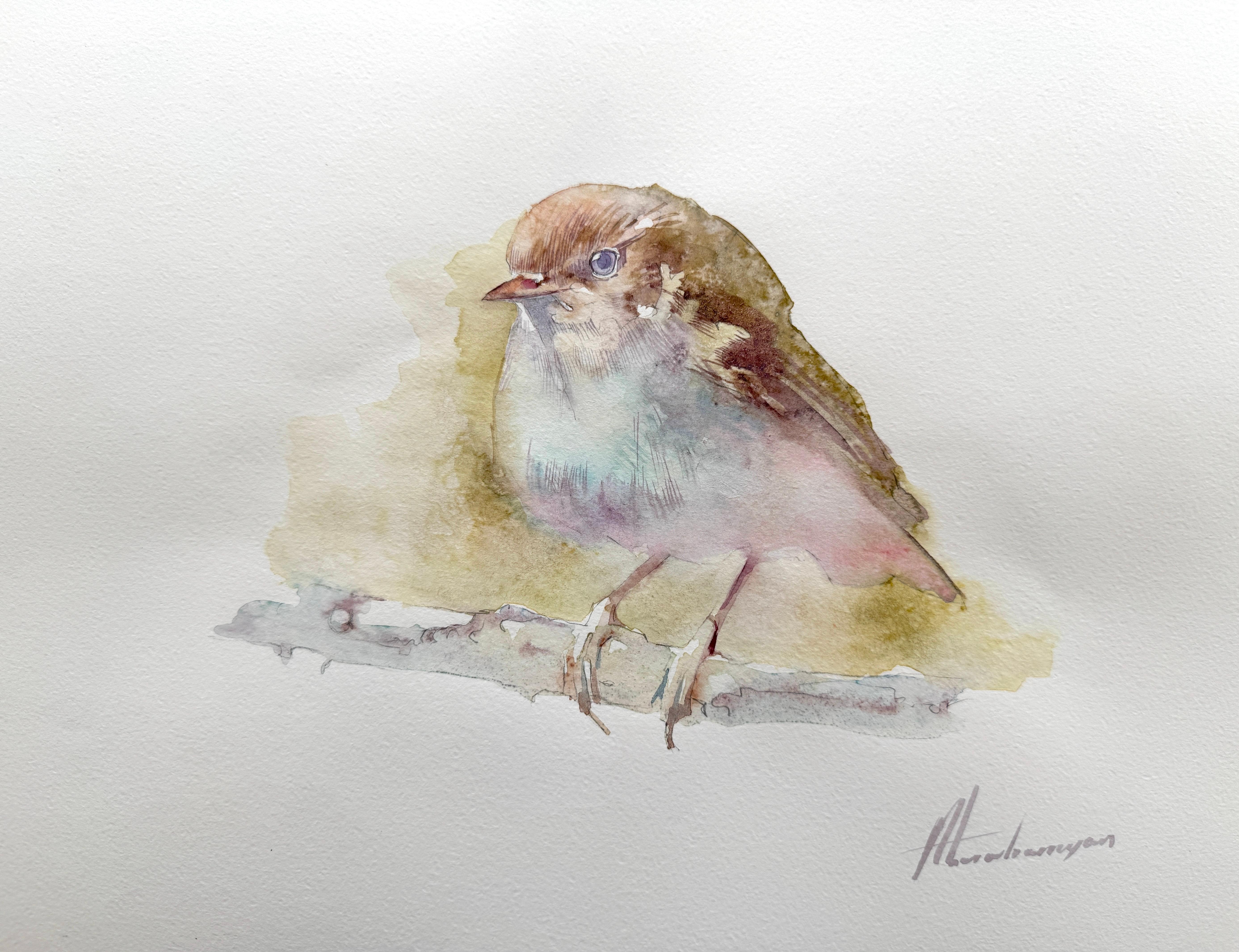 Artyom Abrahamyan Animal Art - Wren Bird Watercolor on Paper Handmade Painting, One of a Kind