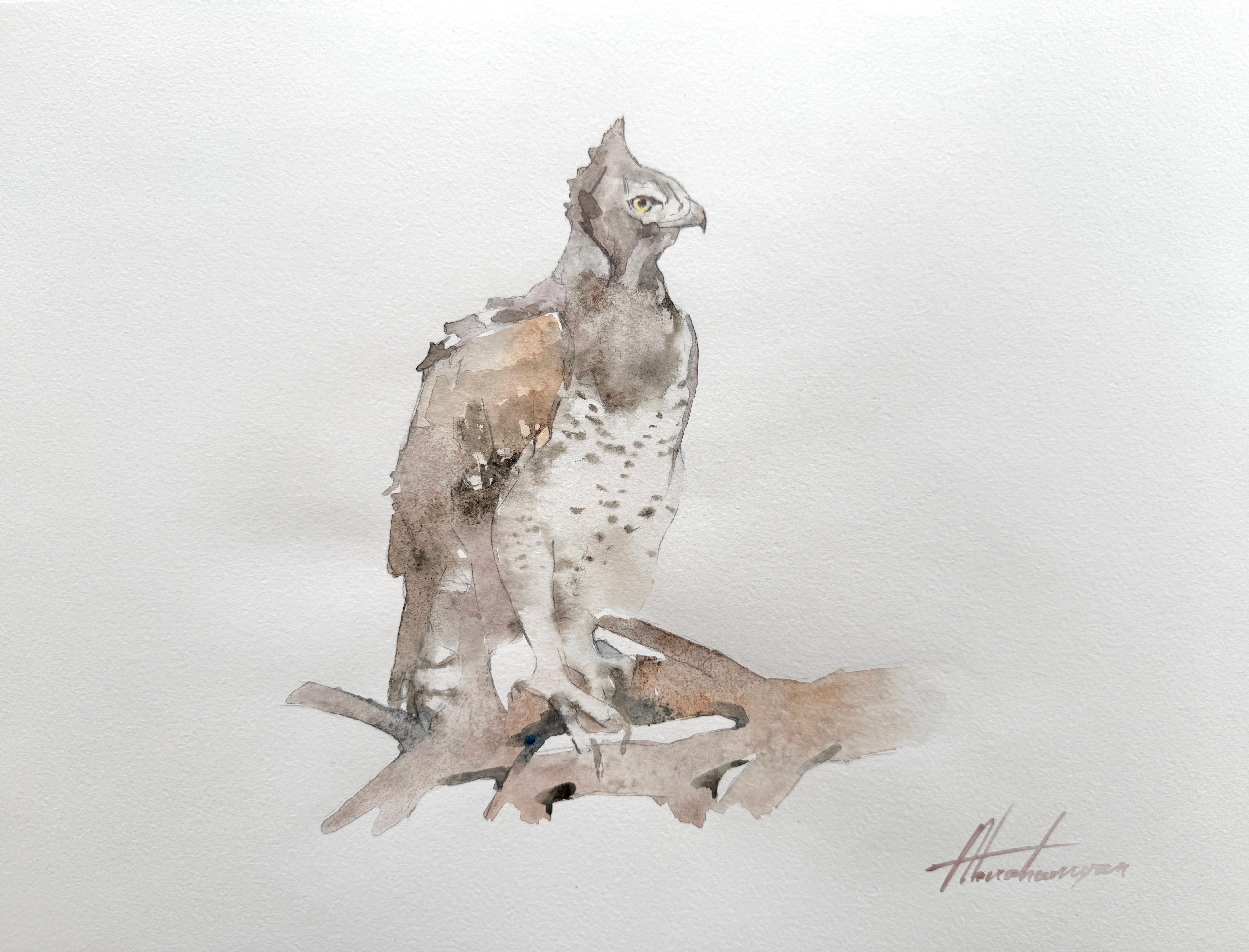 Aigle Oiseau Aquarelle sur papier Peinture faite à la main, unique en son genre