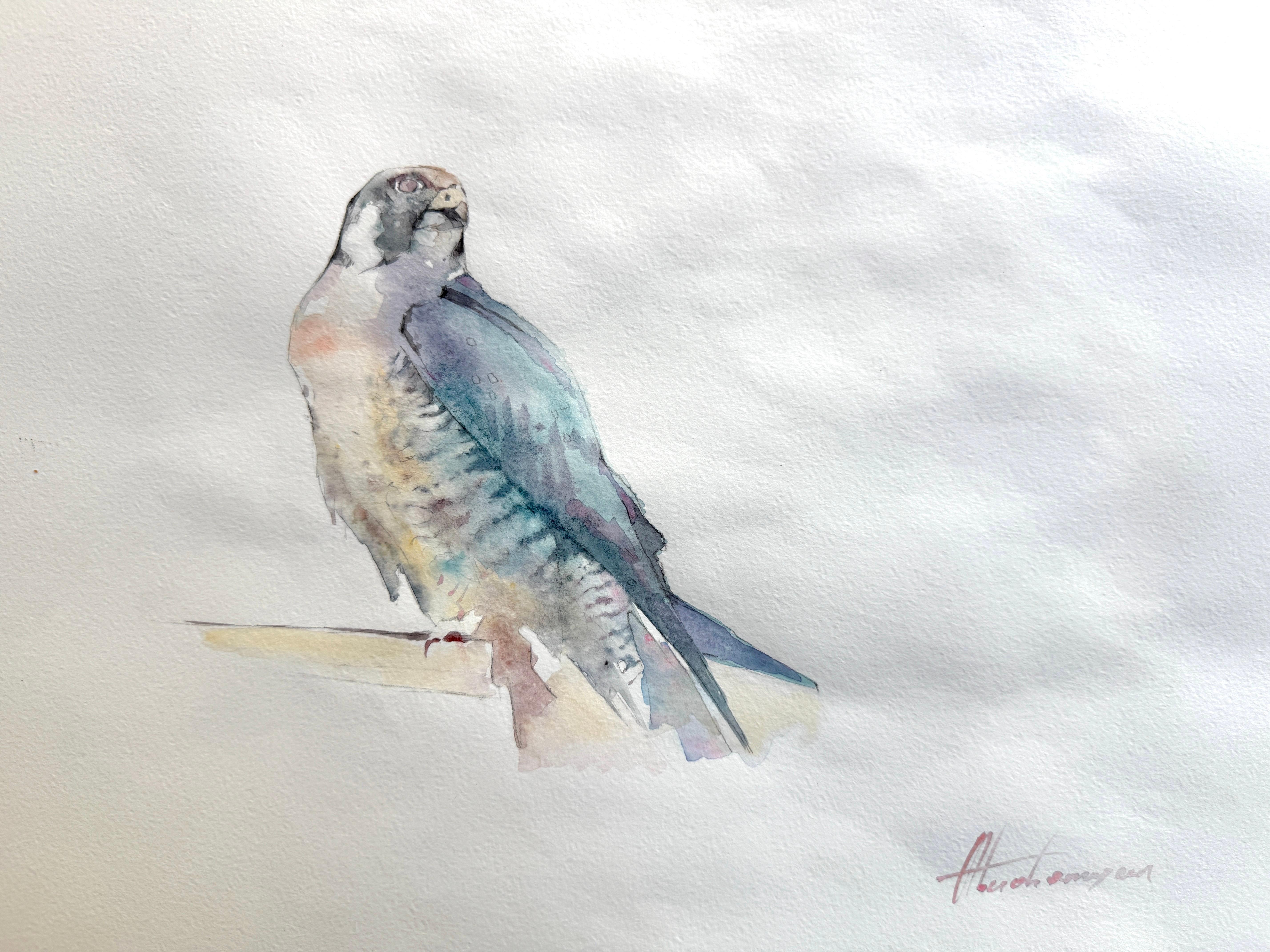 Animal Art Artyom Abrahamyan - Oiseau de l'épervier Aquarelle sur papier Peinture faite à la main, unique en son genre