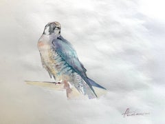 Sparrow-hawk Bird Watercolor on Paper Handmade Painting, One of a Kind