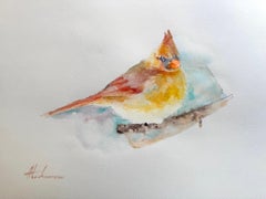 Kardinal Vogel, Aquarell auf Papier, handgefertigtes Gemälde, Unikat