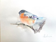 Bullfinch-Vogel, Aquarell auf Papier, handgefertigtes Gemälde, einzigartig