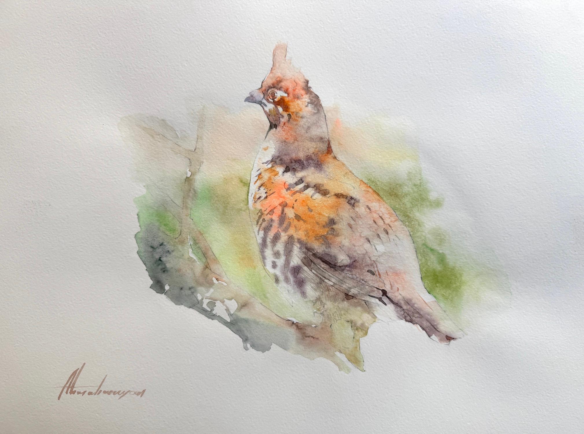Animal Art Artyom Abrahamyan - Oiseau caille Aquarelle sur papier Peinture faite à la main, unique en son genre