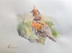 Oiseau caille Aquarelle sur papier Peinture faite à la main, unique en son genre