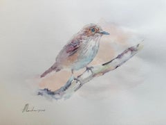 Aquarell-Tierzeichnungen und -aquarelle