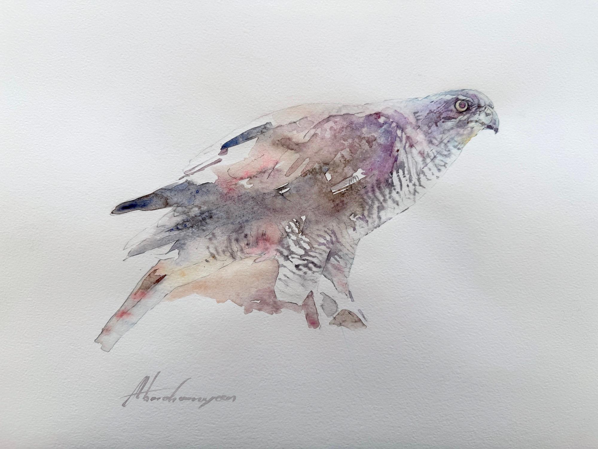 Hawk bird Watercolor on Paper Handmade Painting, One of a Kind
