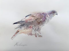 Hawk bird Watercolor on Paper Handmade Painting, One of a Kind
