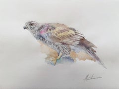 Hawk bird Watercolor on Paper Handmade Painting, One of a Kind