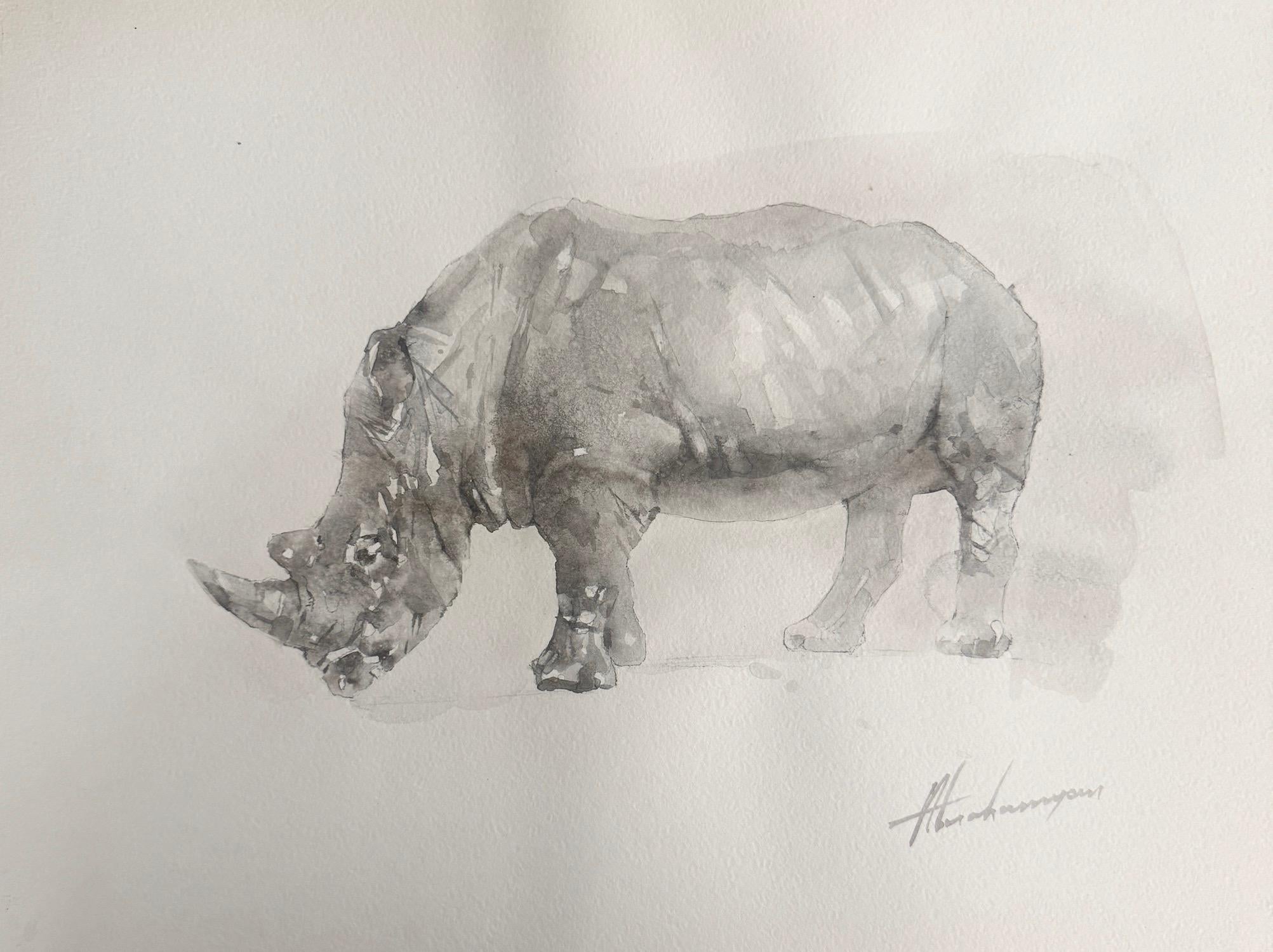 Disegno Disegni e acquarelli (animali)