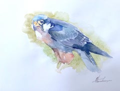 Falke Vogel Aquarell auf Papier Handgemachte Malerei, One of a Kind