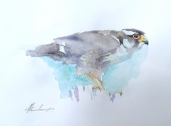 Hawk Bird Watercolor on Paper Handmade Painting, One of a Kind