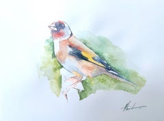 Stieglitz Vogel Aquarell auf Papier Handgemachte Malerei, One of a Kind