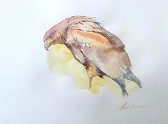 Hawk Bird, Aquarell auf Papier, handgefertigtes Gemälde, einzigartig