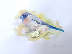 Bullfinch-Vogel, Aquarell auf Papier, handgefertigtes Gemälde, einzigartig