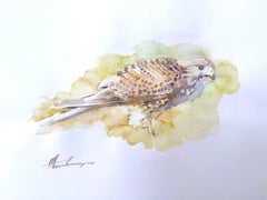 Sperber Vogel Aquarell auf Papier Handgemachte Malerei, One of a Kind