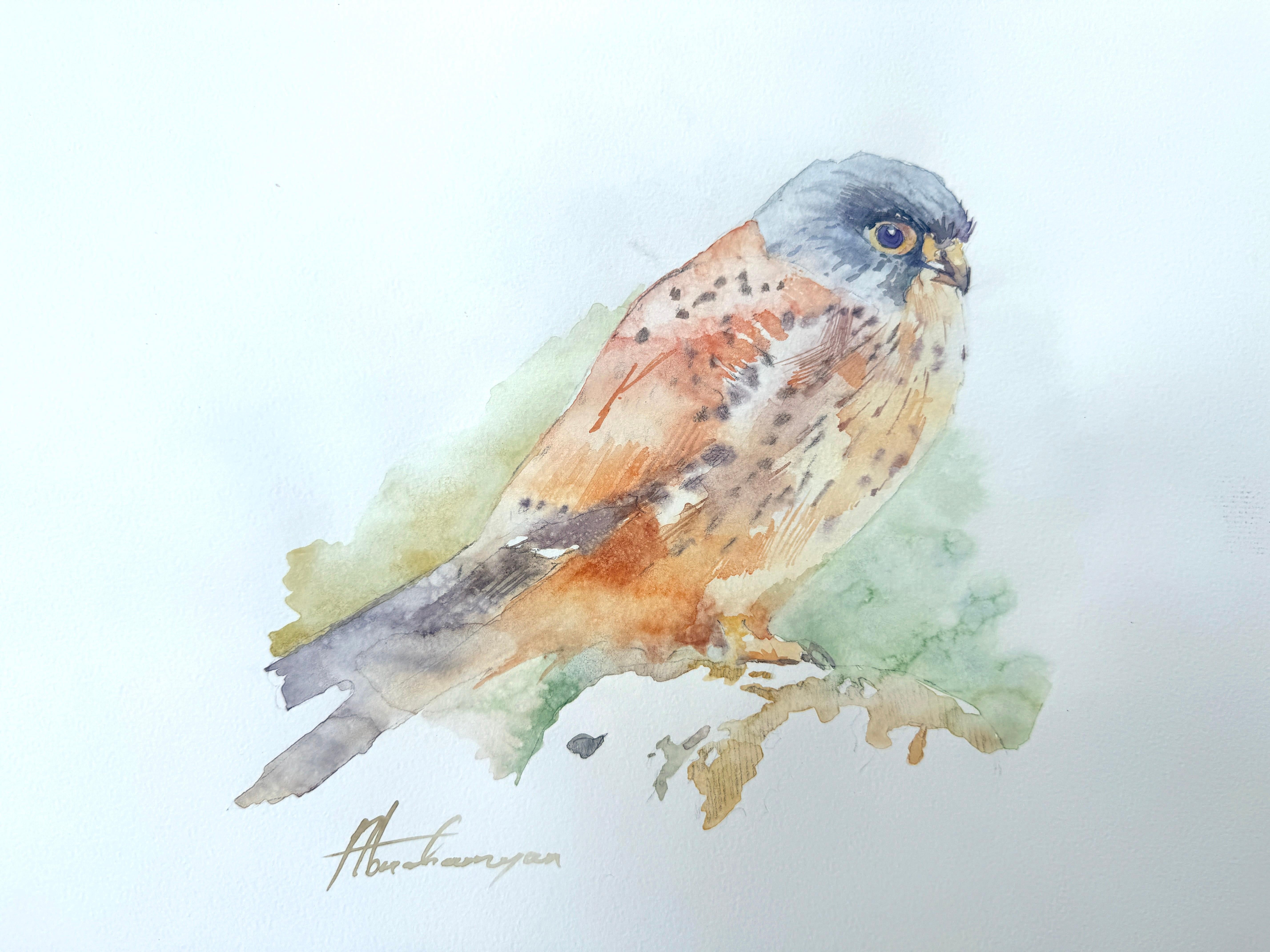 Kestrel Bird Watercolor on Paper Handmade Painting, One of a Kind