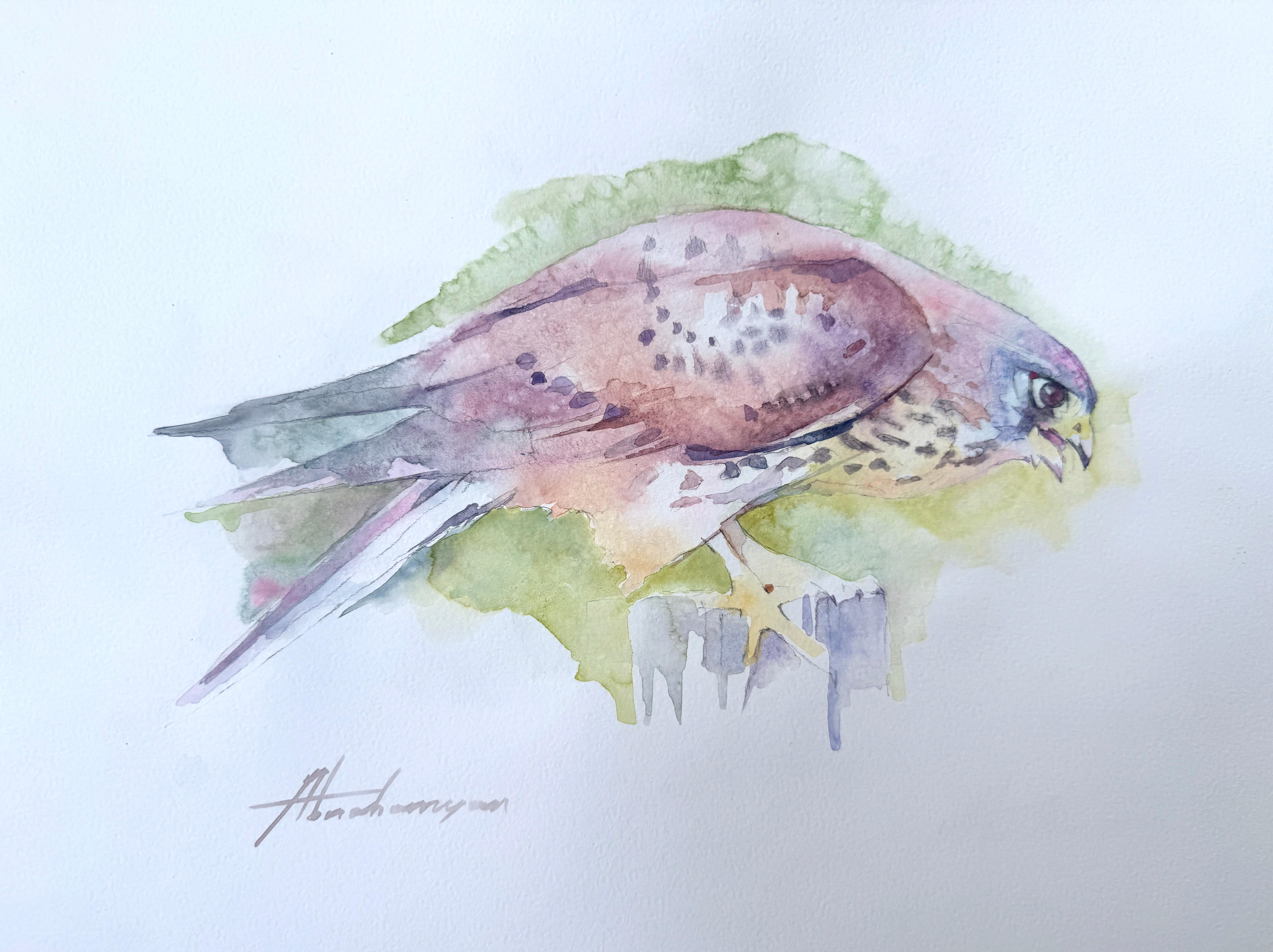 Hawk Bird Watercolor on Paper Handmade Painting, One of a Kind