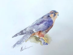 Falke Vogel Aquarell auf Papier Handgemachte Malerei, One of a Kind