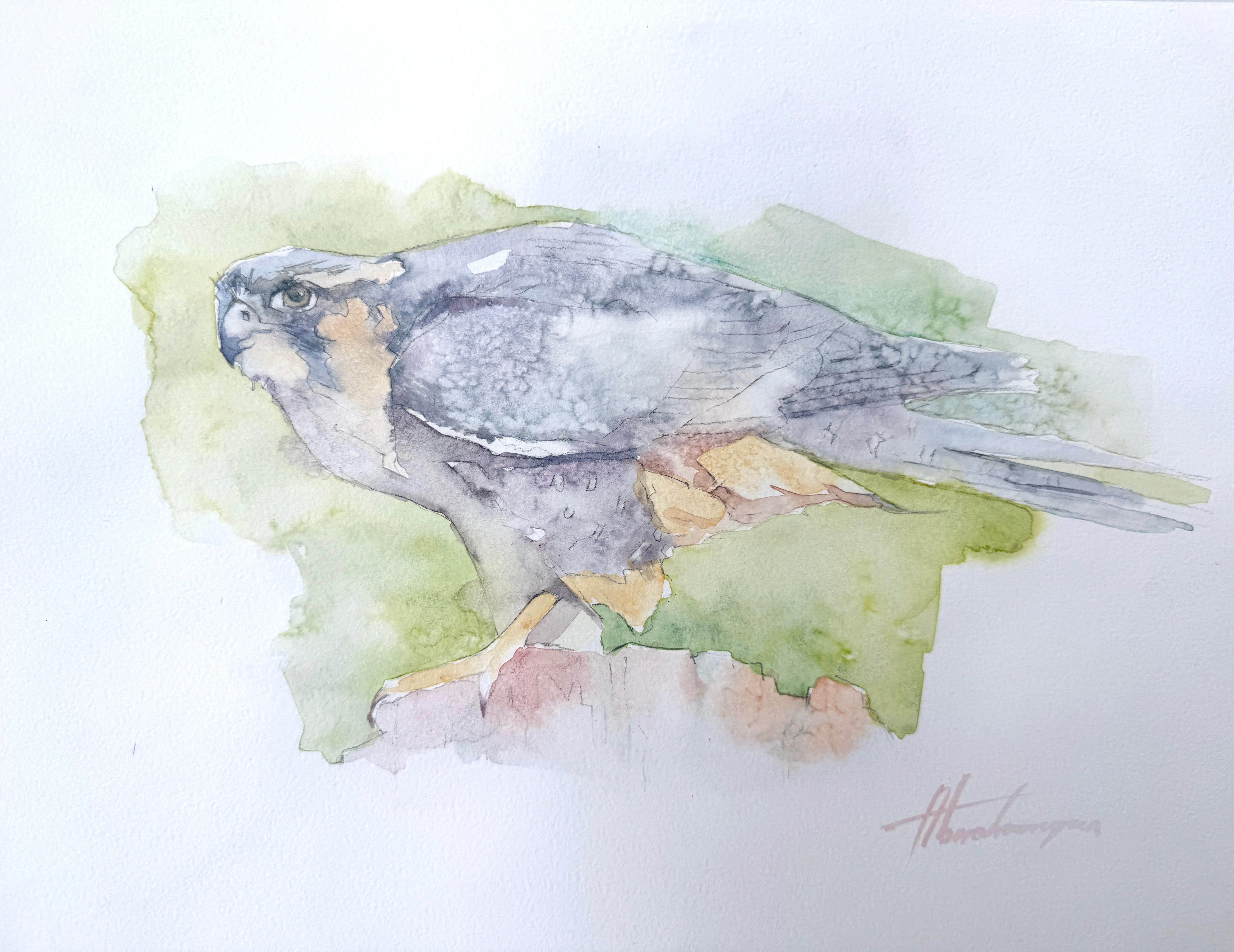 Falcon Bird Watercolor on Paper Handmade Painting, One of a Kind