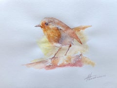 Robin Bird Watercolor on Paper Handmade Painting, One of a Kind