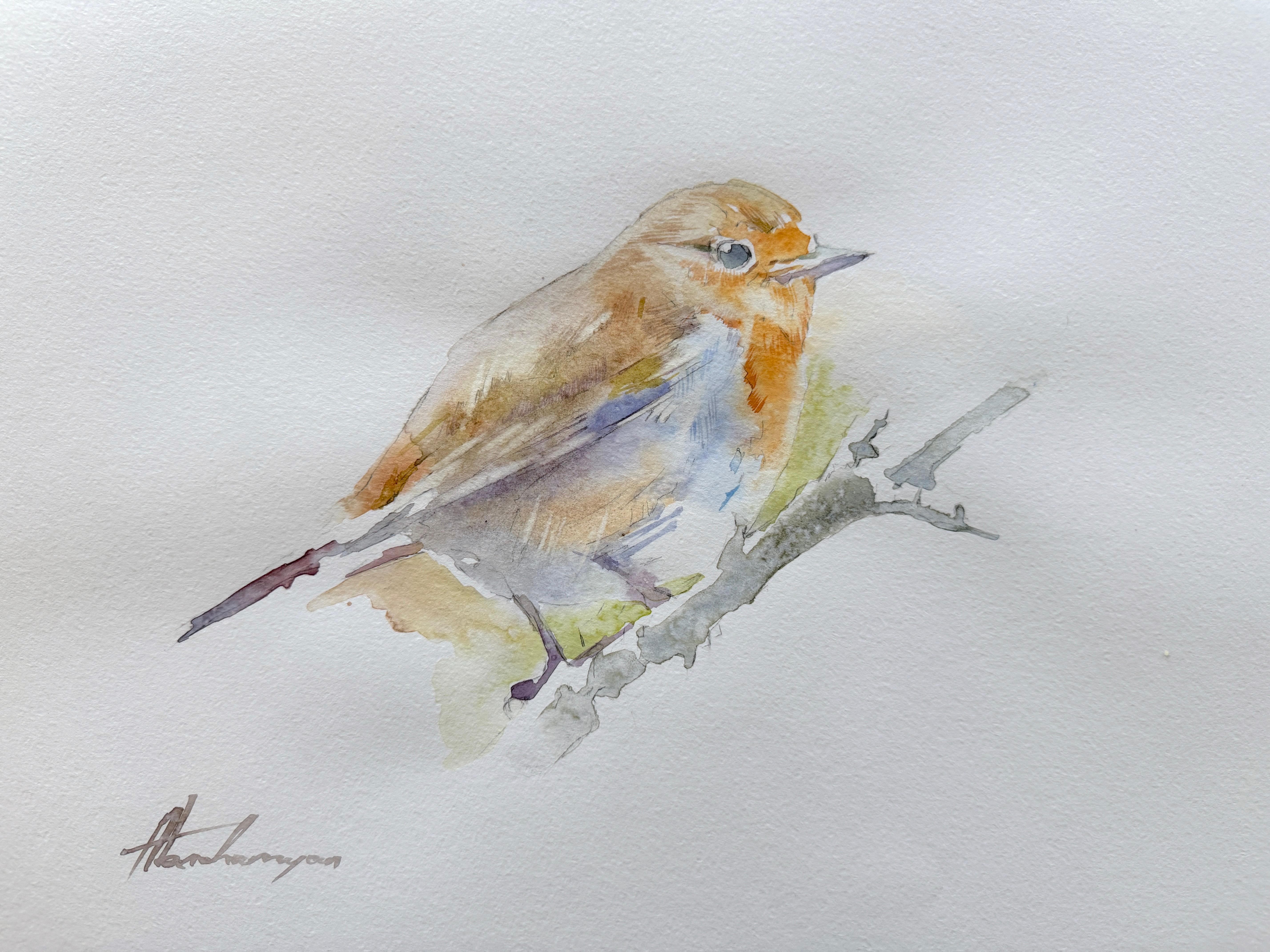 Robin Bird Watercolor on Paper Handmade Painting, One of a Kind