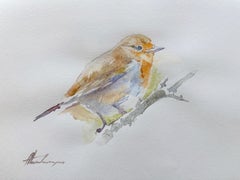 Robin Bird Watercolor on Paper Handmade Painting, One of a Kind
