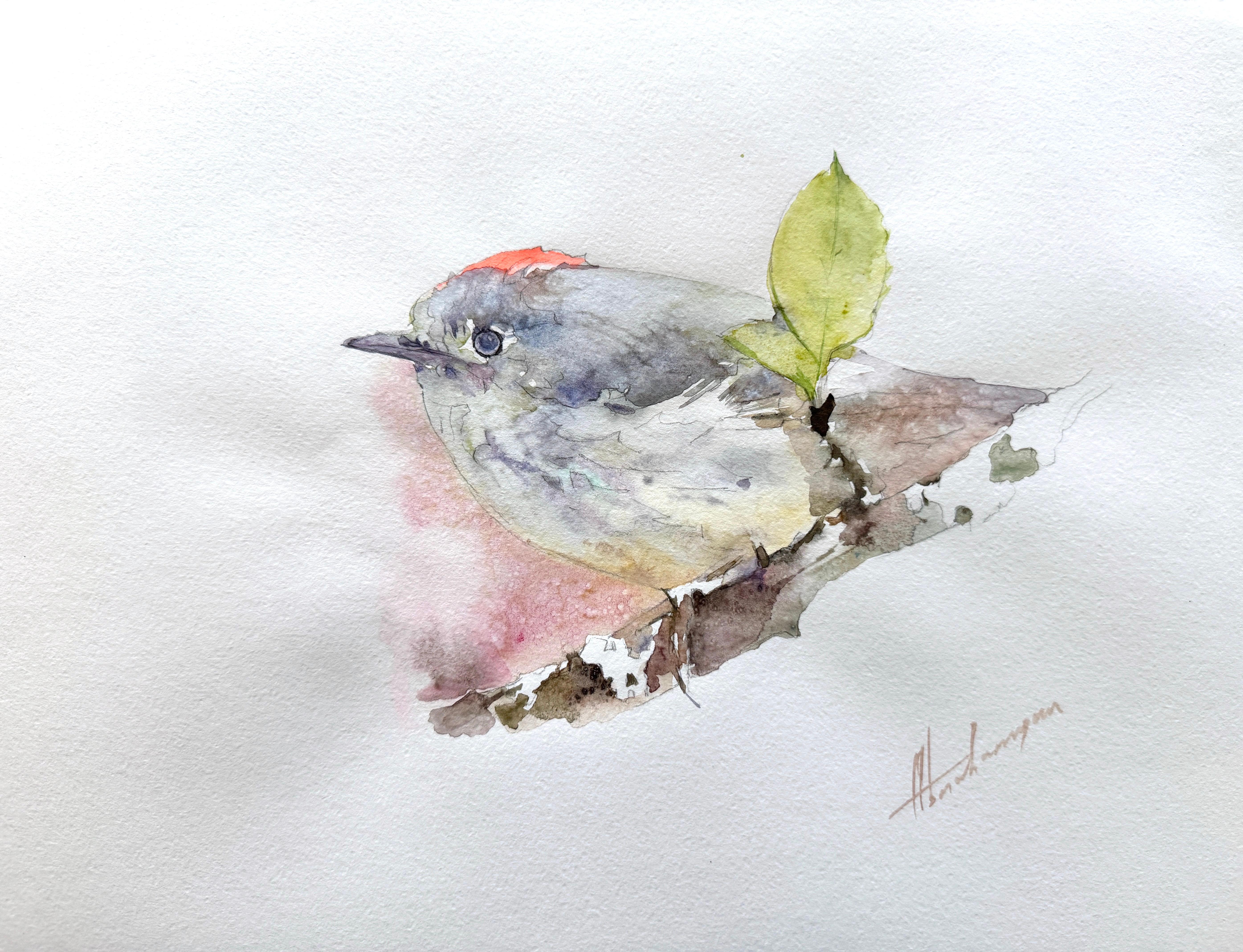 Artyom Abrahamyan Animal Art - Red Capped Bird Watercolor on Paper Handmade Painting, One of a Kind