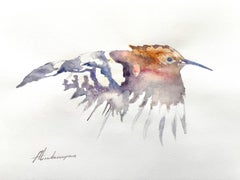 Flying Hoopoe Bird Watercolor on Paper Handmade Painting, One of a Kind