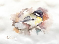 Pájaro carbonero Acuarela sobre papel Pintura hecha a mano, Única en su especie