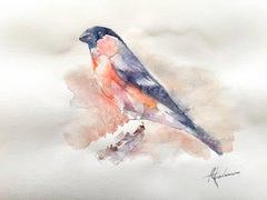 Bullfinch Bird Watercolor on Paper Handmade Painting, One of a Kind