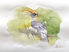 Hornbill Bird Watercolor on Paper Handmade Painting, One of a Kind