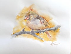 Yellow Cardinal Bird Watercolor on Paper Handmade Painting, One of a Kind