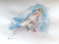 Vestrel, Watercolor Handmade Painting, One of a Kind